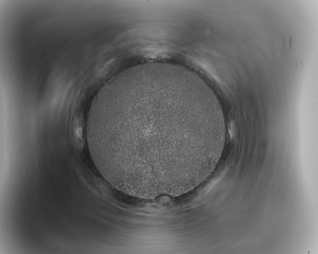 X0000096671396200802121141
