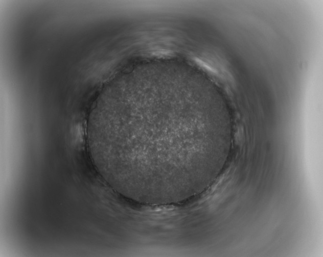 X0000096671397200802121141