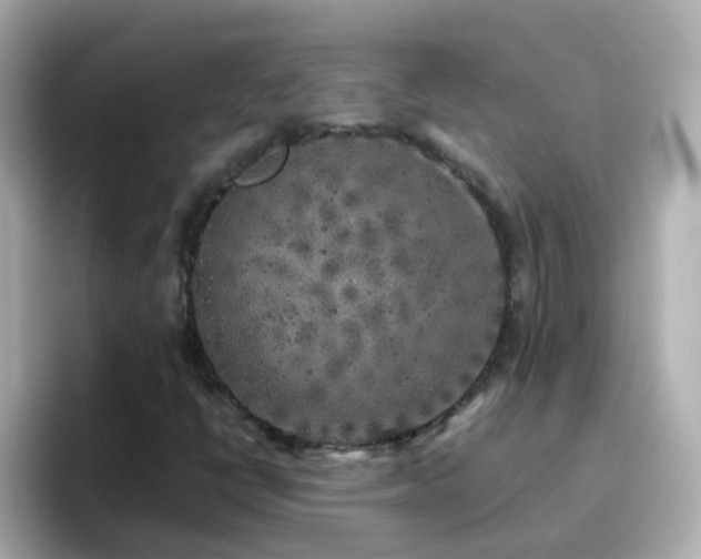 X0000096671398200802121141