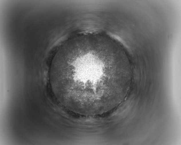 X0000096671399200802121141