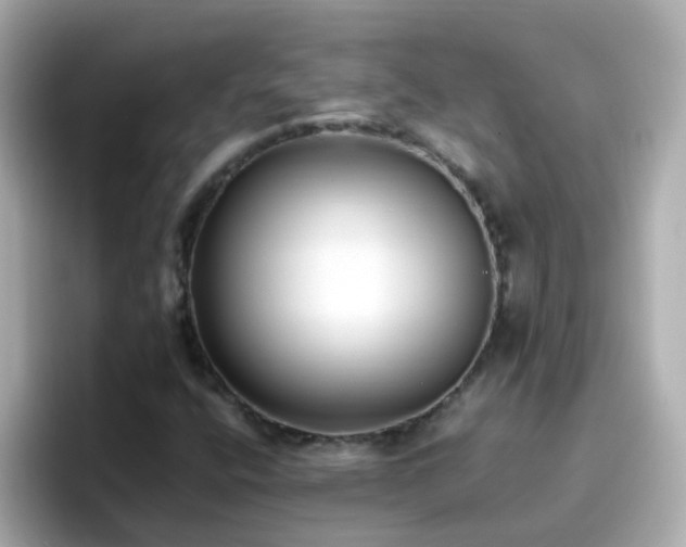 X0000096671400200802121141