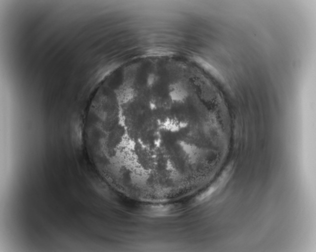 X0000096671401200802121141