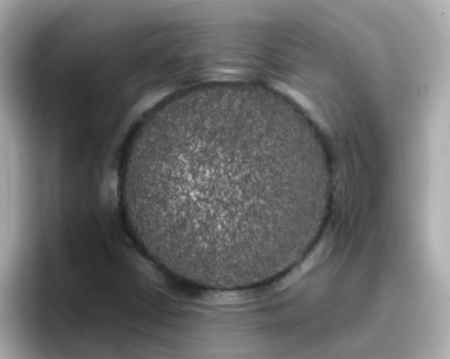 X0000096671402200802121141