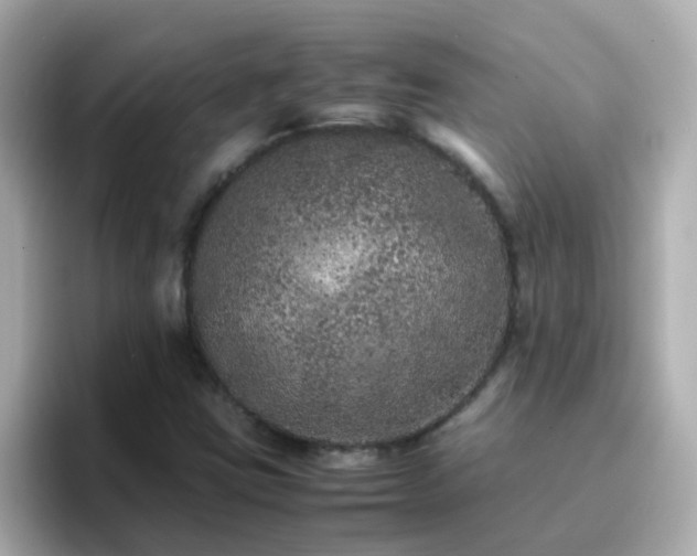 X0000096671403200802121141