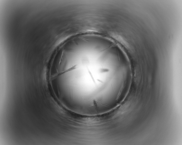 X0000096671404200802121141