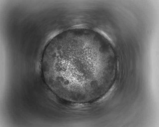 X0000096671405200802121141