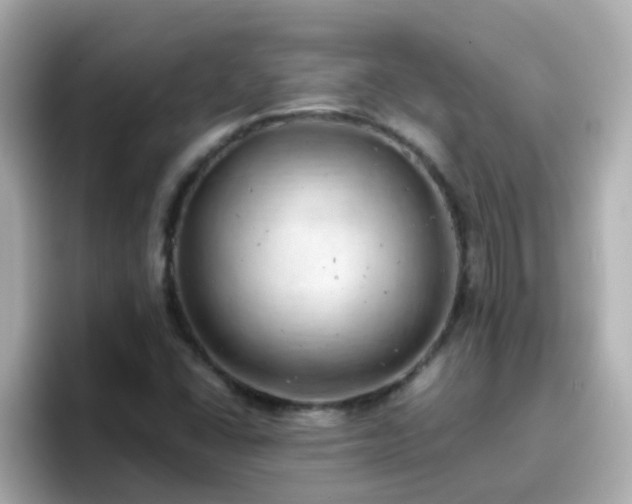 X0000096671406200802121141