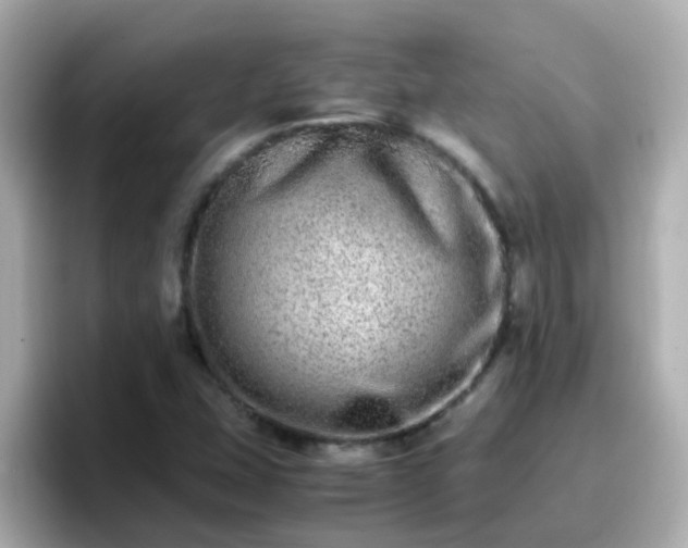 X0000096671407200802121142