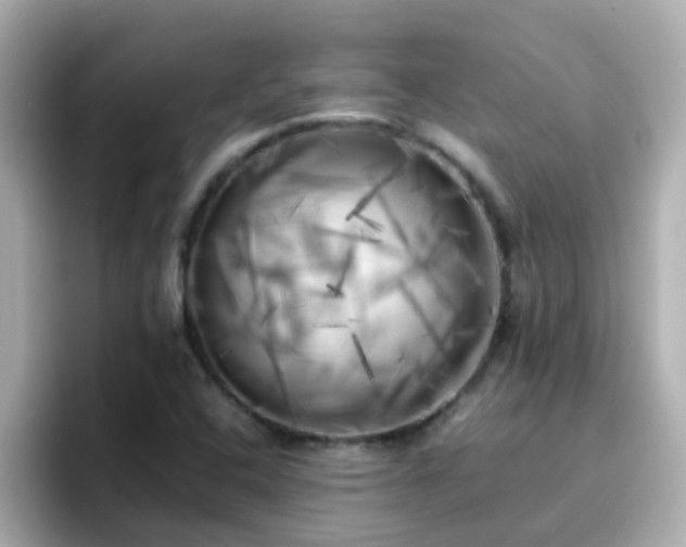 X0000096671408200802121142