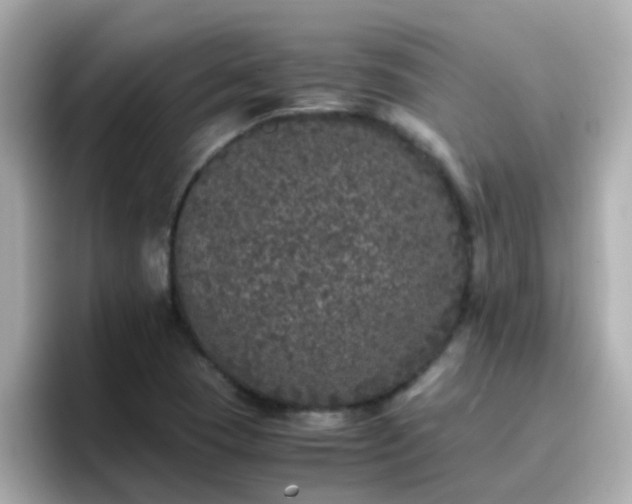 X0000096671409200802121142