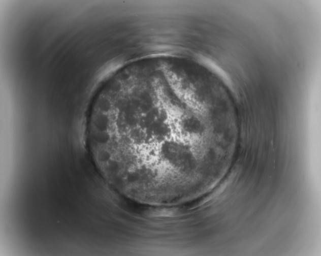 X0000096671411200802121142