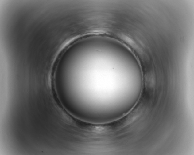 X0000096671412200802121142