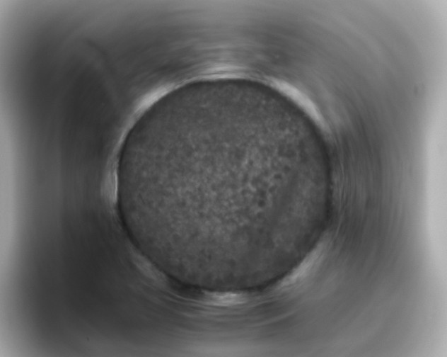 X0000096671413200802121142