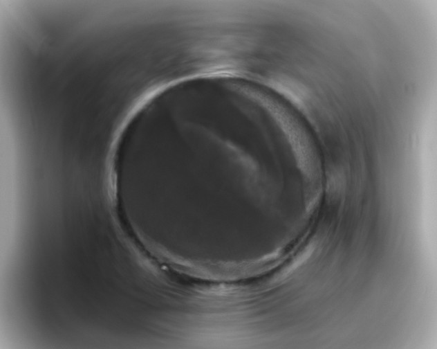 X0000096671414200802121142