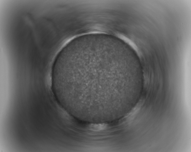 X0000096671415200802121142