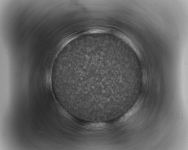 X0000096671417200802121142