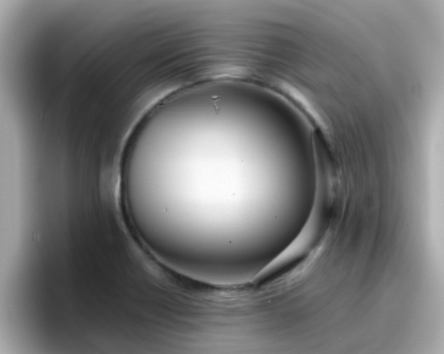 X0000096671418200802121142