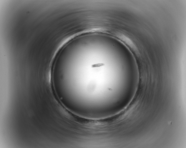 X0000096671420200802121142