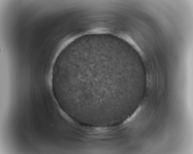 X0000096671421200802121142