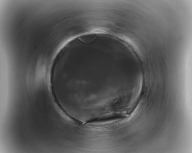 X0000096671422200802121142