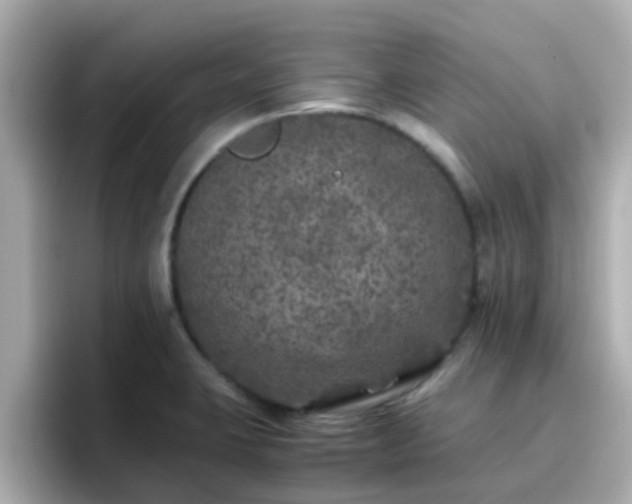 X0000096671423200802121142