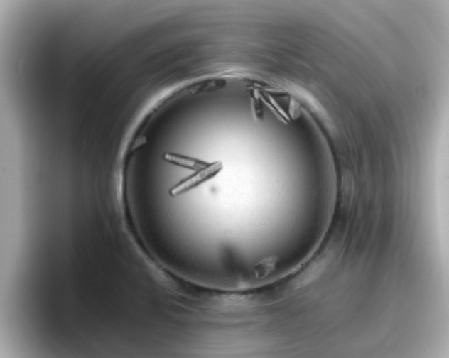 X0000096671424200802121142
