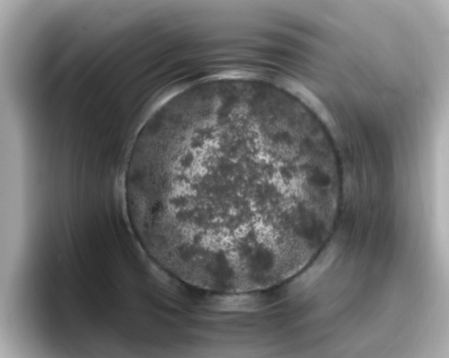 X0000096671425200802121142