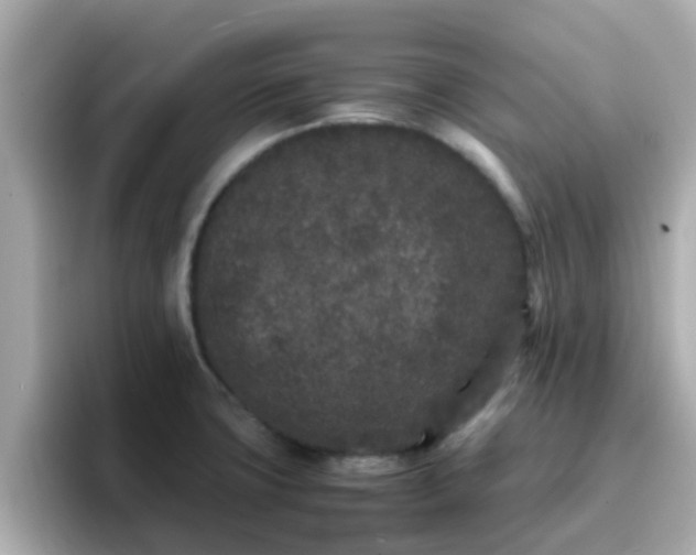 X0000096671427200802121142