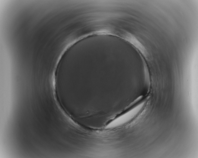 X0000096671428200802121142