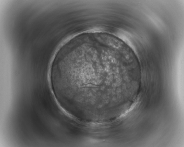 X0000096671429200802121142
