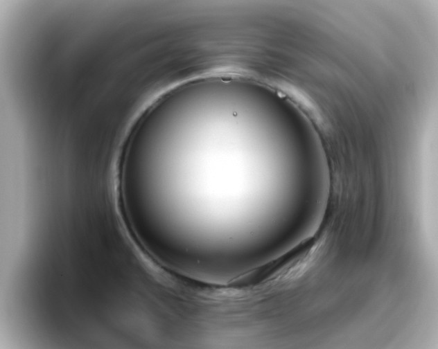 X0000096671430200802121142