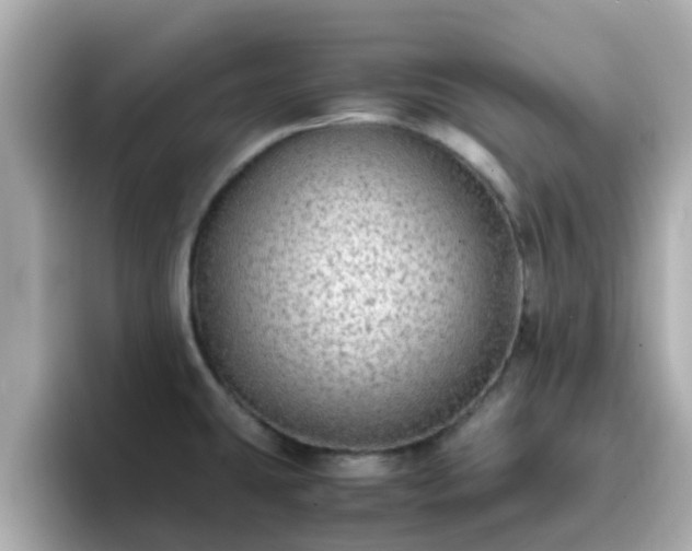 X0000096671431200802121142