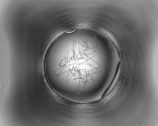 X0000096671434200802121142