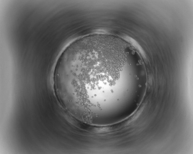 X0000096671435200802121142