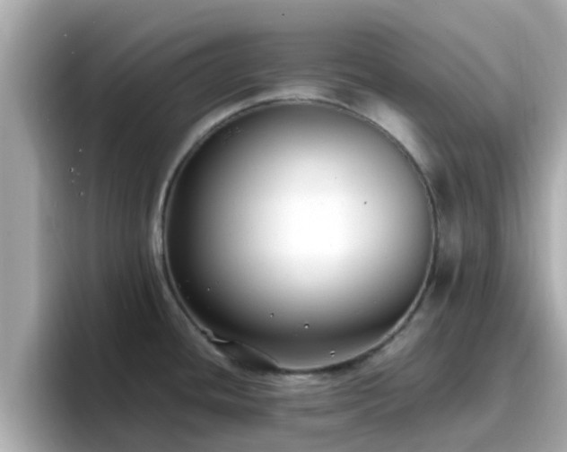 X0000096671436200802121142