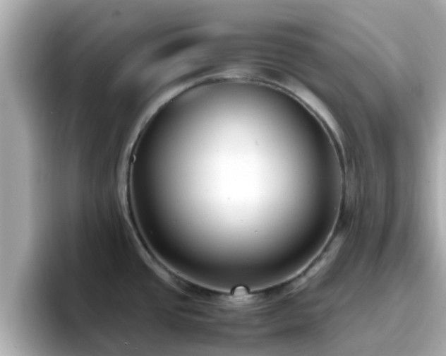 X0000096671437200802121142