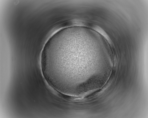 X0000096671439200802121142