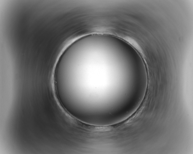 X0000096671440200802121142