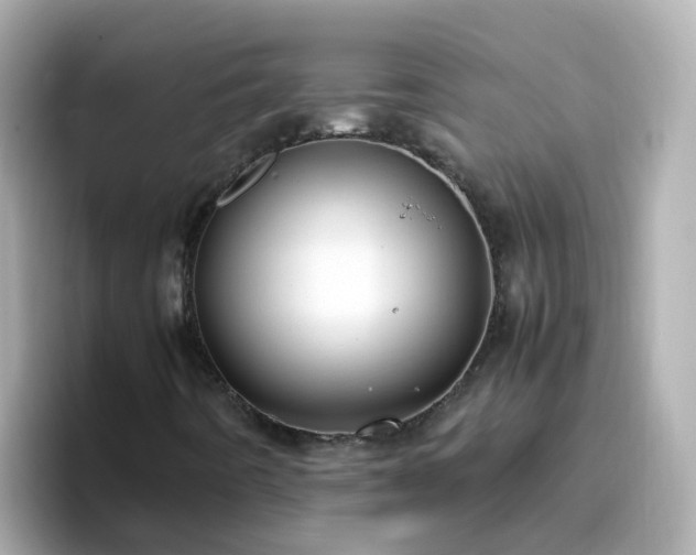 X0000096671442200802121141