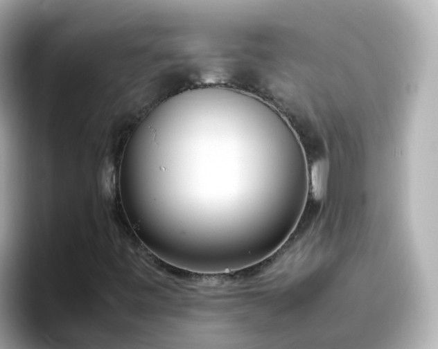 X0000096671443200802121141