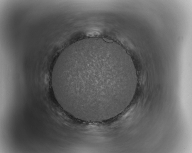 X0000096671445200802121141