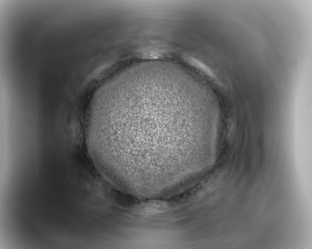 X0000096671446200802121141