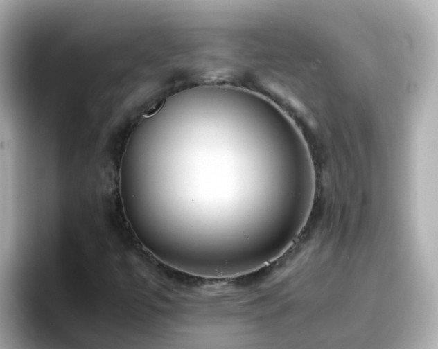 X0000096671447200802121141