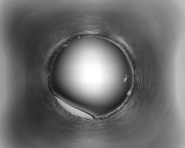 X0000096671448200802121141