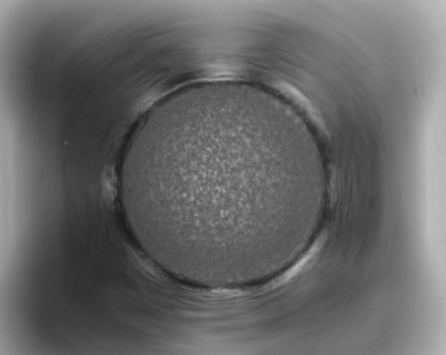 X0000096671449200802121141