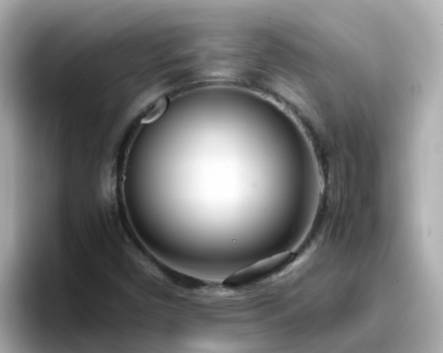 X0000096671450200802121141