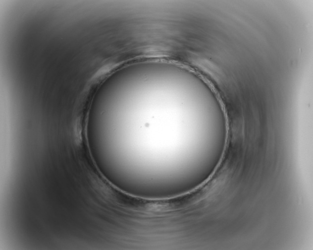 X0000096671451200802121141