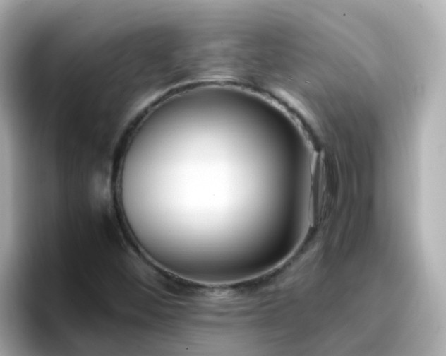X0000096671452200802121141