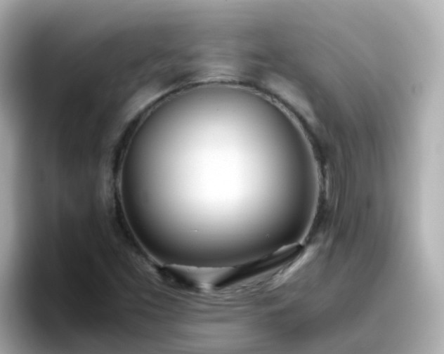 X0000096671453200802121141