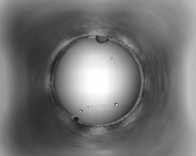 X0000096671454200802121141